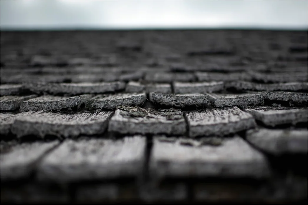 Detail Wind Damage Roof Shingles Missing Number 8