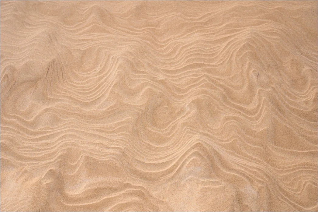 Detail Windy Beach Blowing Sand Texture Number 2