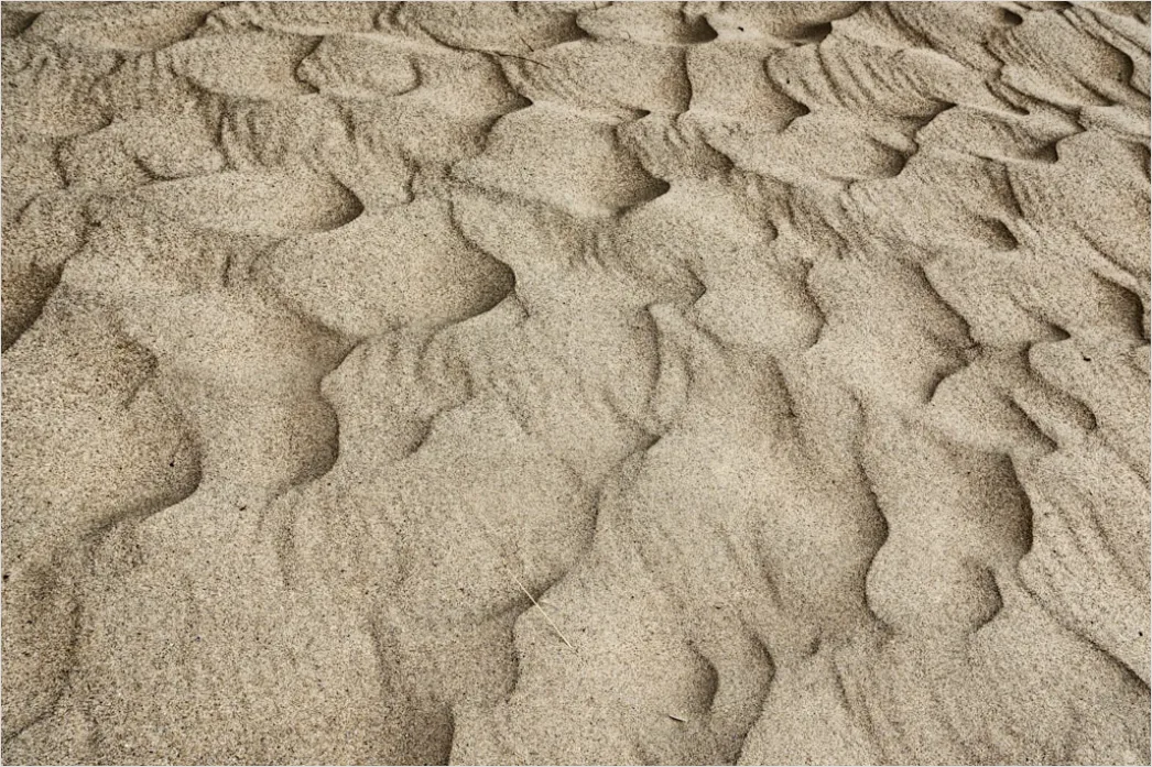 Detail Windy Beach Blowing Sand Texture Number 11
