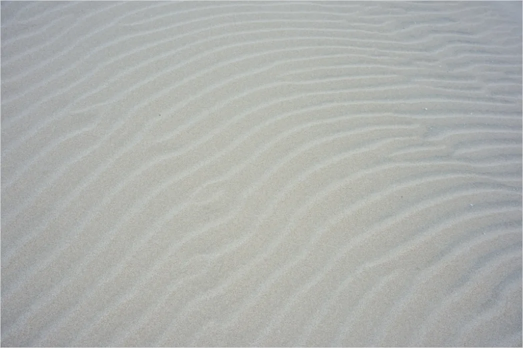 Detail Windy Beach Blowing Sand Texture Number 12
