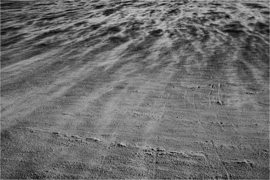 Detail Windy Beach Blowing Sand Texture Number 13