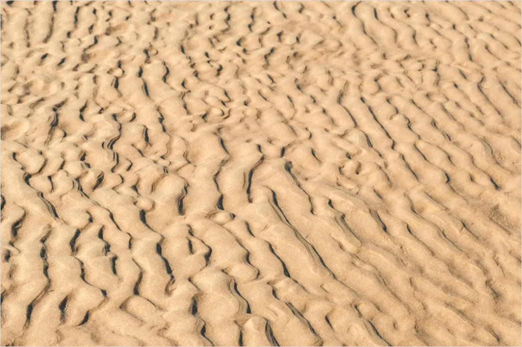 Detail Windy Beach Blowing Sand Texture Number 14