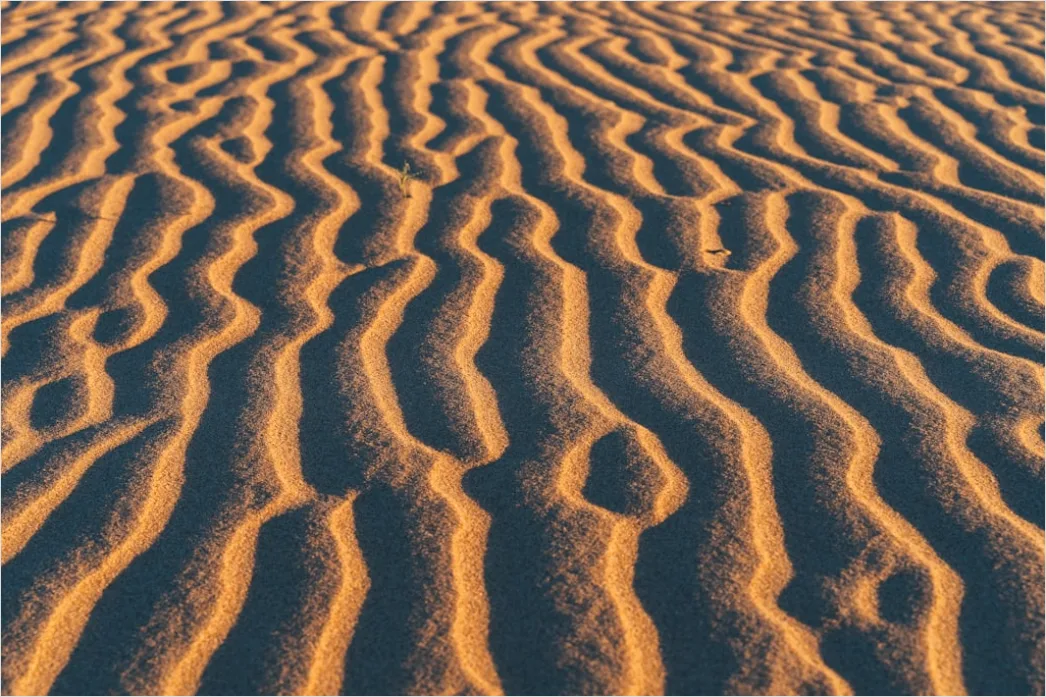Detail Windy Beach Blowing Sand Texture Number 16