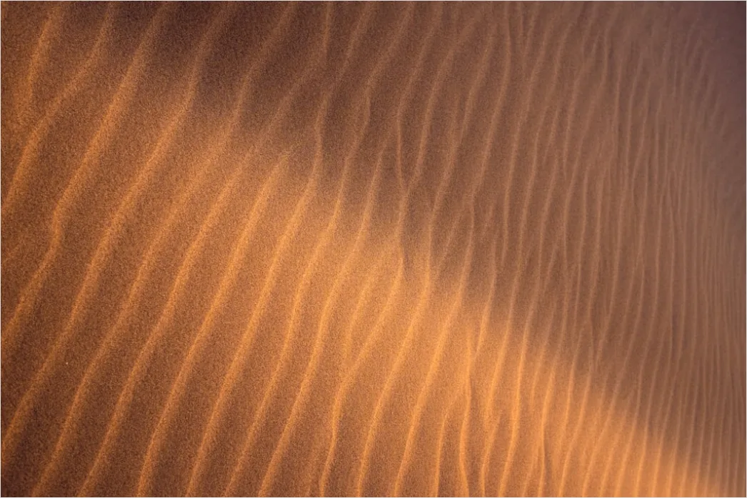 Detail Windy Beach Blowing Sand Texture Number 17