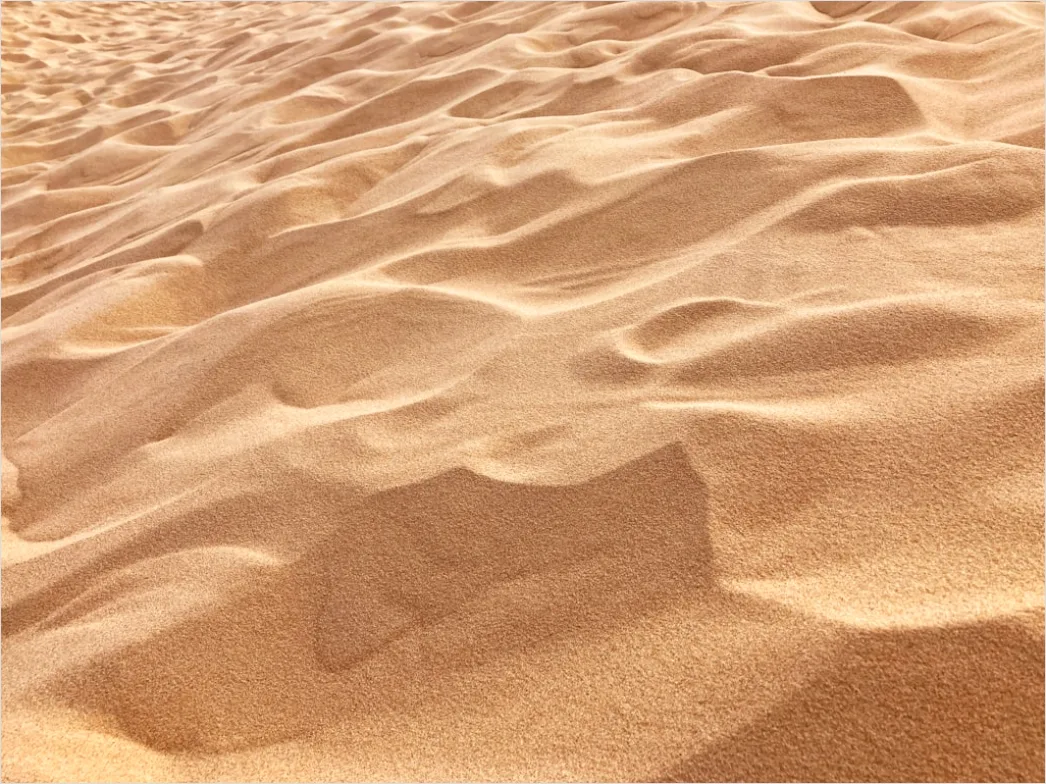Detail Windy Beach Blowing Sand Texture Number 5