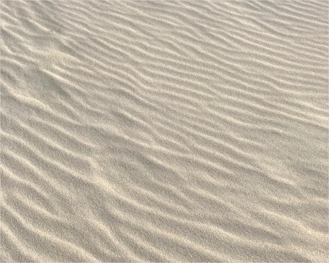 Detail Windy Beach Blowing Sand Texture Number 7