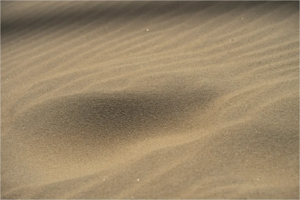 Detail Windy Beach Blowing Sand Texture Number 8