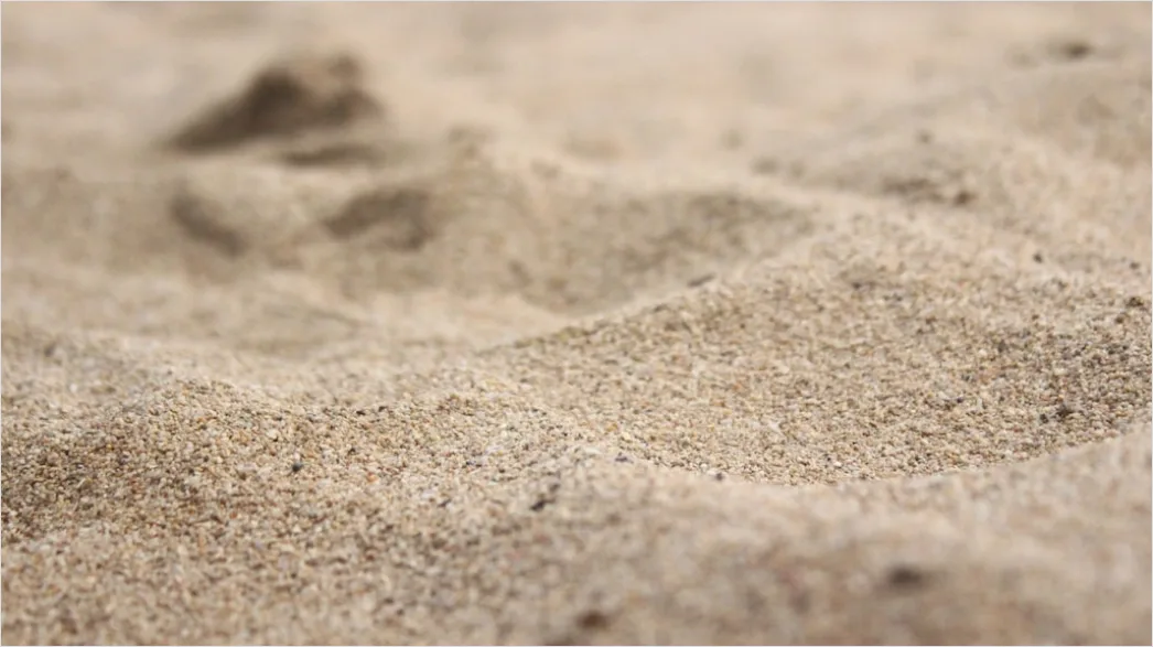 Detail Windy Beach Blowing Sand Texture Number 9