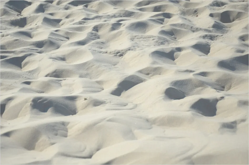 Detail Windy Beach Blowing Sand Texture Number 10