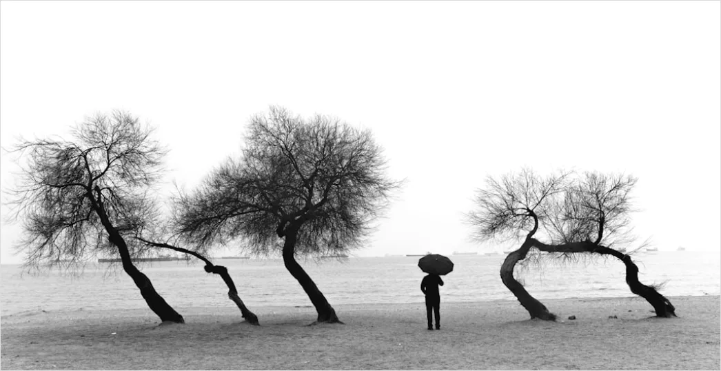 Detail Windy Day Trees Bending Gusts Number 13