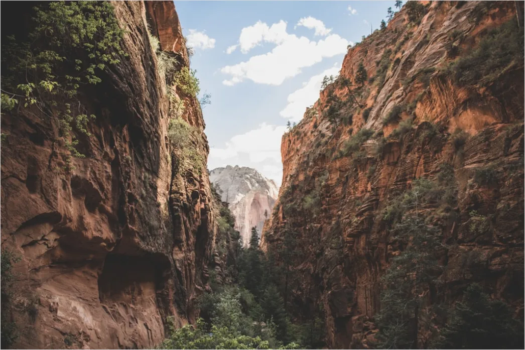 Detail Zion National Park Canyon Hike Number 4