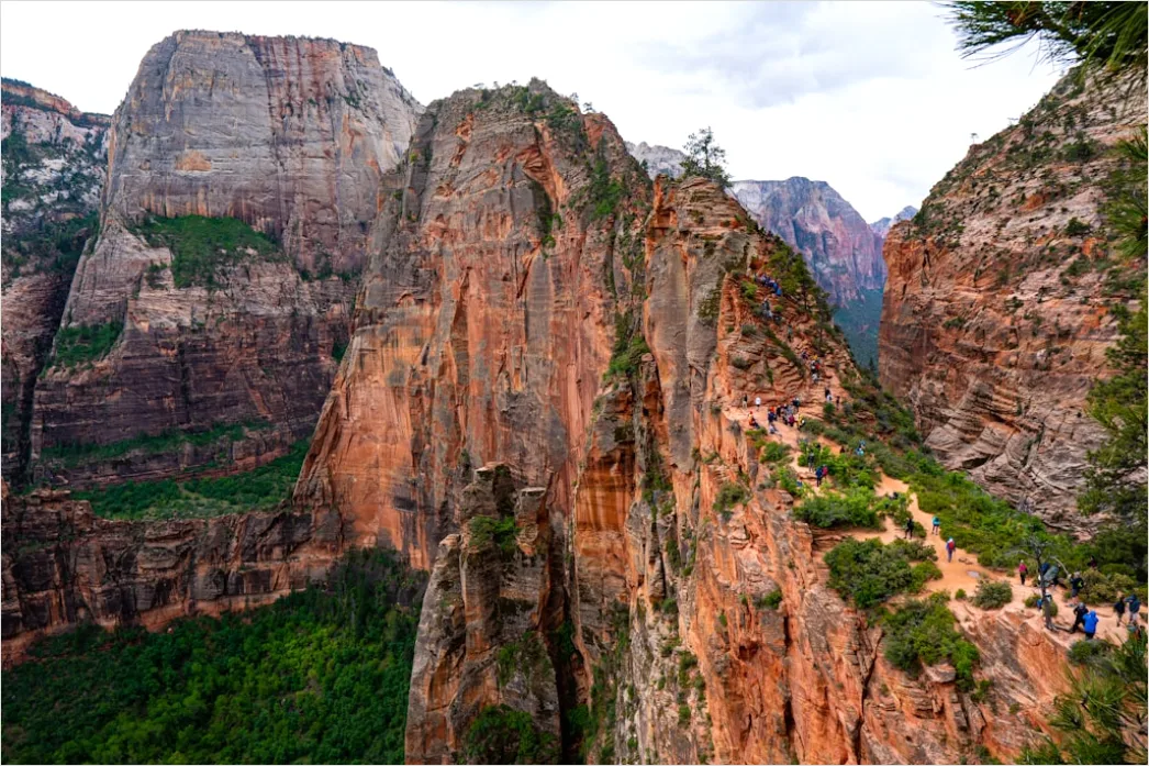 Detail Zion National Park Canyon Hike Number 10